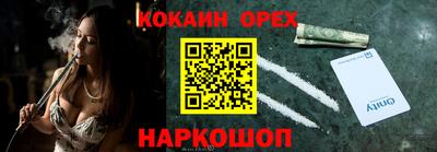 шишки Дубна