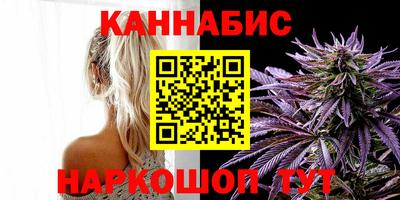 шишки Дубна
