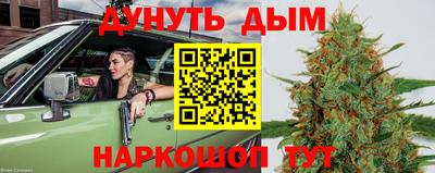 шишки Дубна