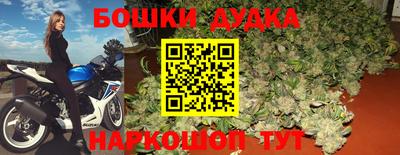 шишки Дубна
