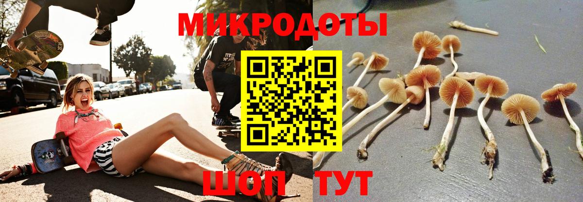 Лабытнанги  Псилоцибиновые грибы ЛСД  Вход с VPN 